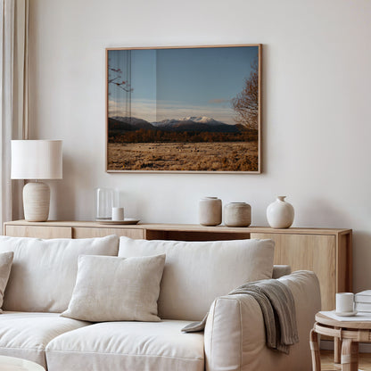 Winter Morning
