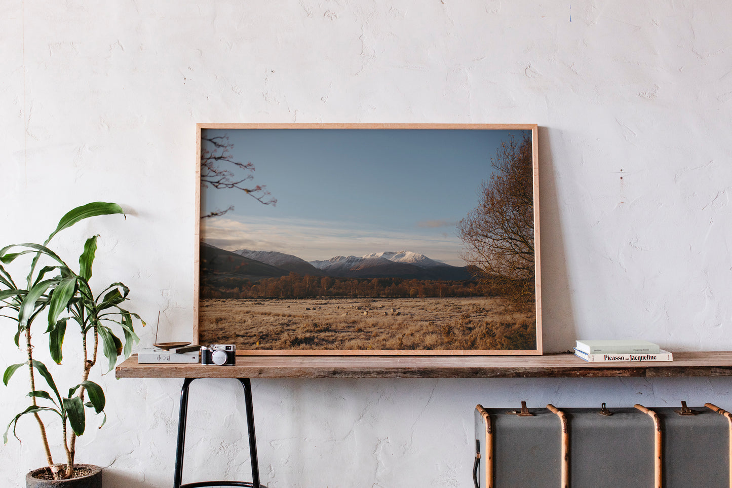 Winter Morning