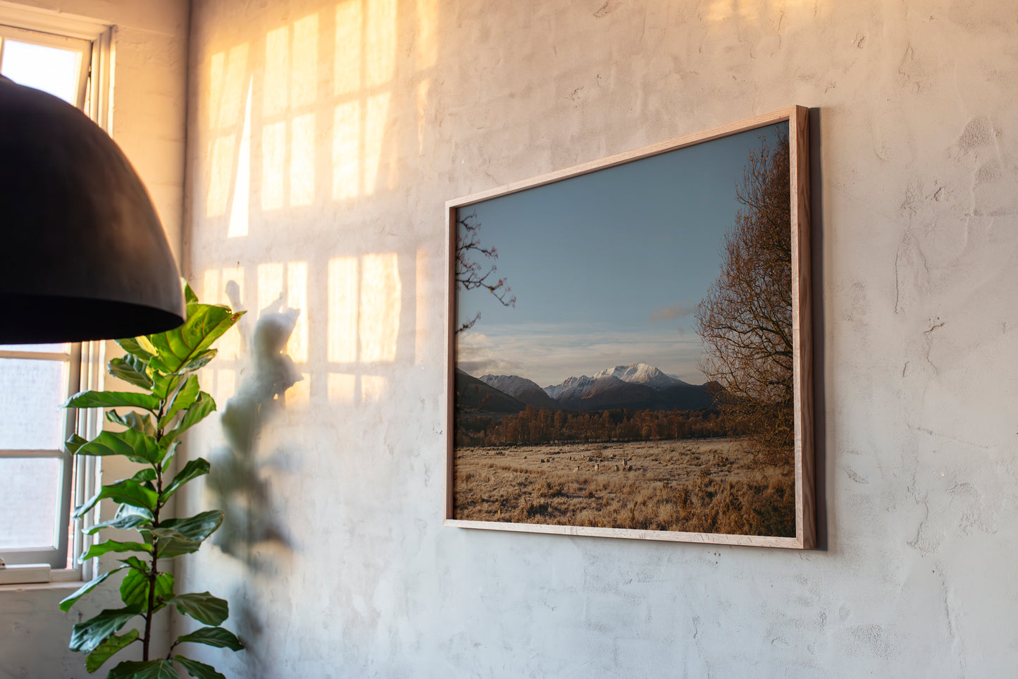Winter Morning