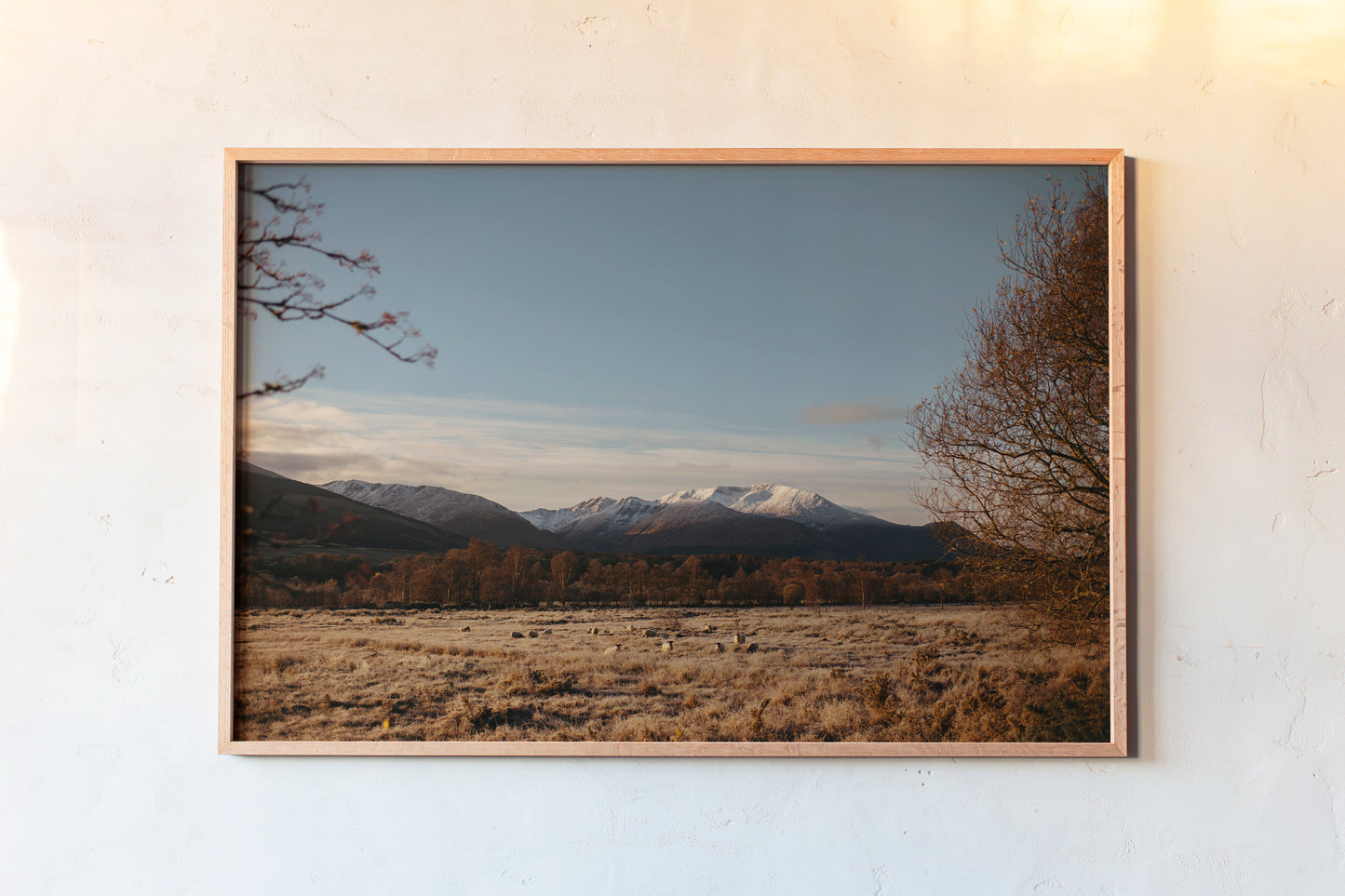 Winter Morning